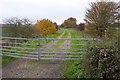 Track on old railway line