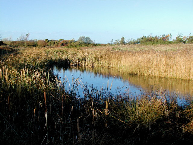 Hollym Carrs Nature Reserve