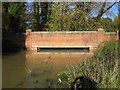 River Stort near Stansted Mountfitchet