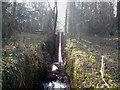 Oulton lock gates