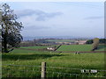 Alderwood farm and country north of Docklow