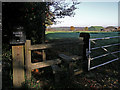 Footpath to Wintry Park Farm, from Wintry Park House