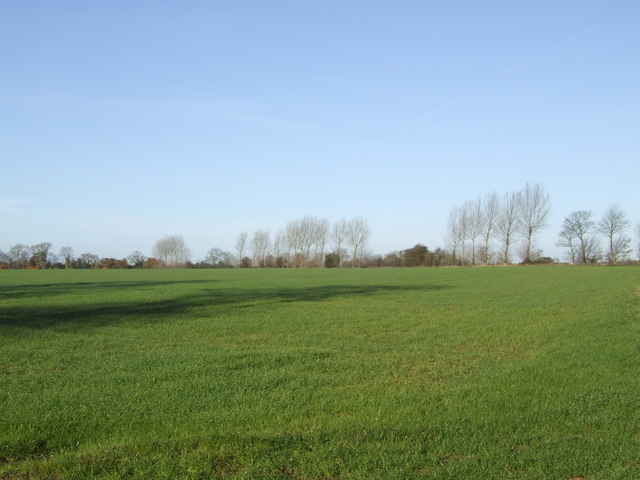 Pasture Field near  Ash Bed