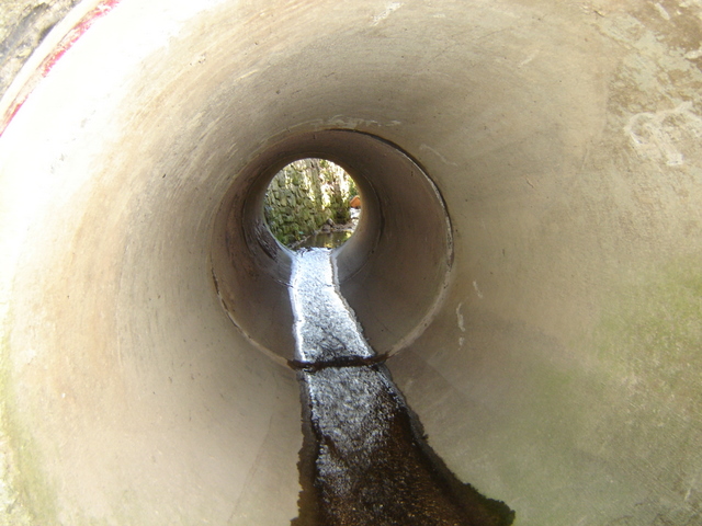 A culvert carrying a small stream in Nercwys