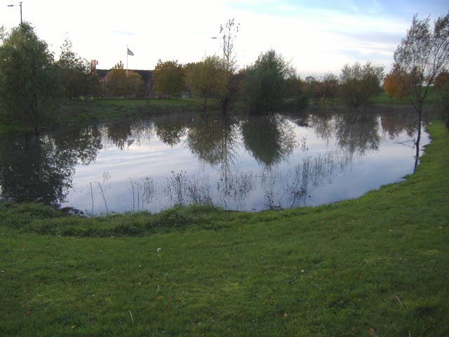 A pond near the A10/A142 roundabout