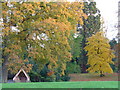 Autumn in Clandon Park