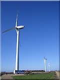 TF1915 : Wind Turbine, Vine House Farm by Nigel Stickells