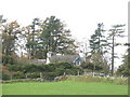 Pen Dinas Cottage - a former smallholding