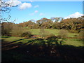 Fields and stream from A379