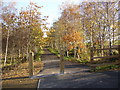 Entrance to the Calder Valley Greenway eastwards from Bog Green Lane, Kirkheaton