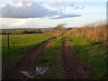 Field near Chucka Cheese Farm