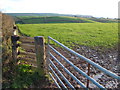 Field above Thurlestone