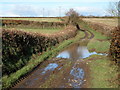 Unsurfaced road to the north of Hollocombe