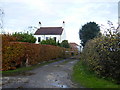 Driveway entrance to Aucuba Farm