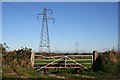 SW7346 : Blocked Gate and Powerlines by Tony Atkin