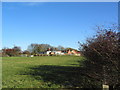 Houses at edge of Woolsthorpe-by-Colsterworth