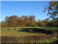 Autumn colours from Easton Lane