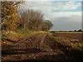 Public footpath at Great Wenham