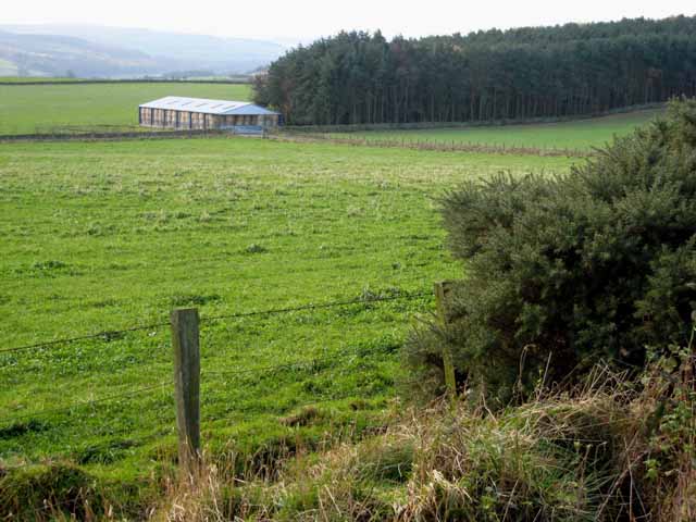 Field, barn and plantation near West Minsteracres