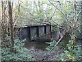 Derelict Railway Bridge