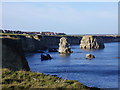 NZ4064 : Marsden Rock from the south by P Glenwright