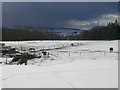 Milltimber Farm in the Snow