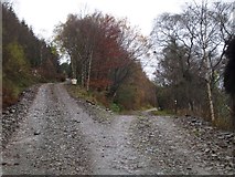 NT2623 : Track junction, St Mary's Loch by Chris Eilbeck