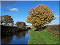 SJ8905 : Bridge 7, Shropshire Union Canal by Geoff Pick