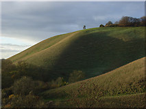 SU1763 : Martinsell Hill by Andrew Smith