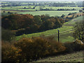 Beneath Martinsell Hill