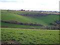 Combe in Buckland Stream valley