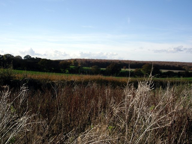 Countryside view from Oxdrove Way
