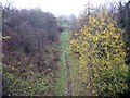 Disused railway, Hawick