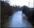 Footbridge over the Teviot