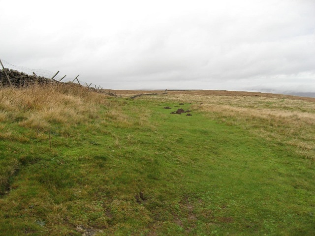 A Bridleway To Burtersett © Roger Gilbertson Cc By Sa20 Geograph