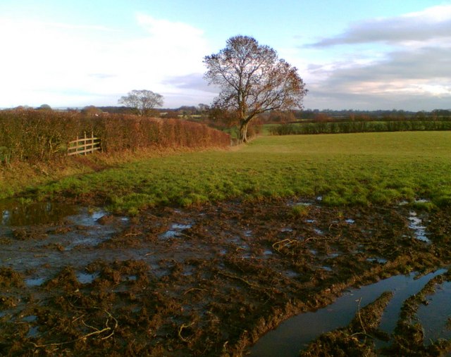 Field near Dykeside