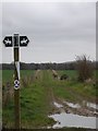 Track to Lower Kitemoor