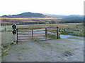 Gate Cattle Grid and Track