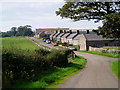 NU0346 : Cheswick Farm Cottages. by C Smith