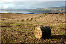NH6160 : Farmland near Culbokie by John Comloquoy