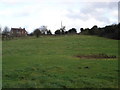 Horse paddock opposite Manor Farm, 6d Handley