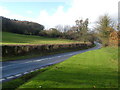 A 379 and Butland Wood