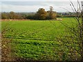 Farmland near Stoney Stanton