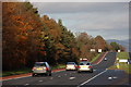 The Belfast - Dublin road near Hillsborough