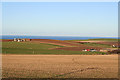 Northeast Scottish farms.