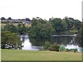 Chetwynd Park Pool