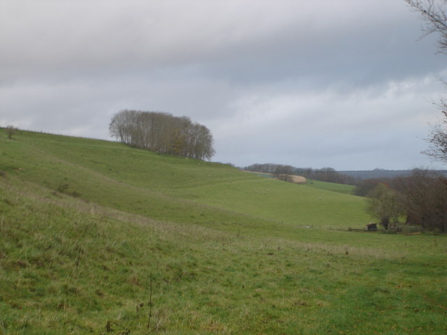 View towards Knowle Hill from Church Bottom