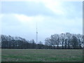 Radio mast at Knighton Hill Farm