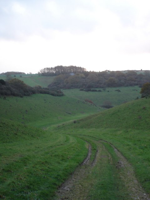 Track from Knighton Hill Farm to Church Bottom
