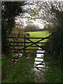 Wet gateway at Ley Green Cross